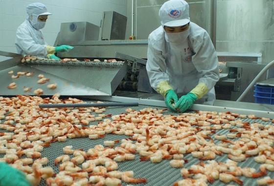 Vietnam’s shrimp exporters mull future prospects